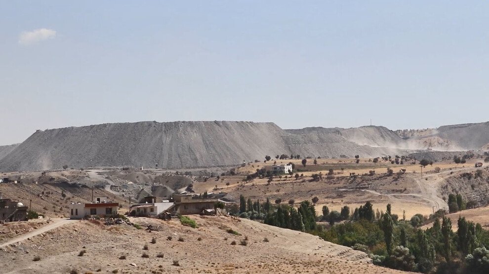 De laatste bossen van Mesopotamië worden vernietigd