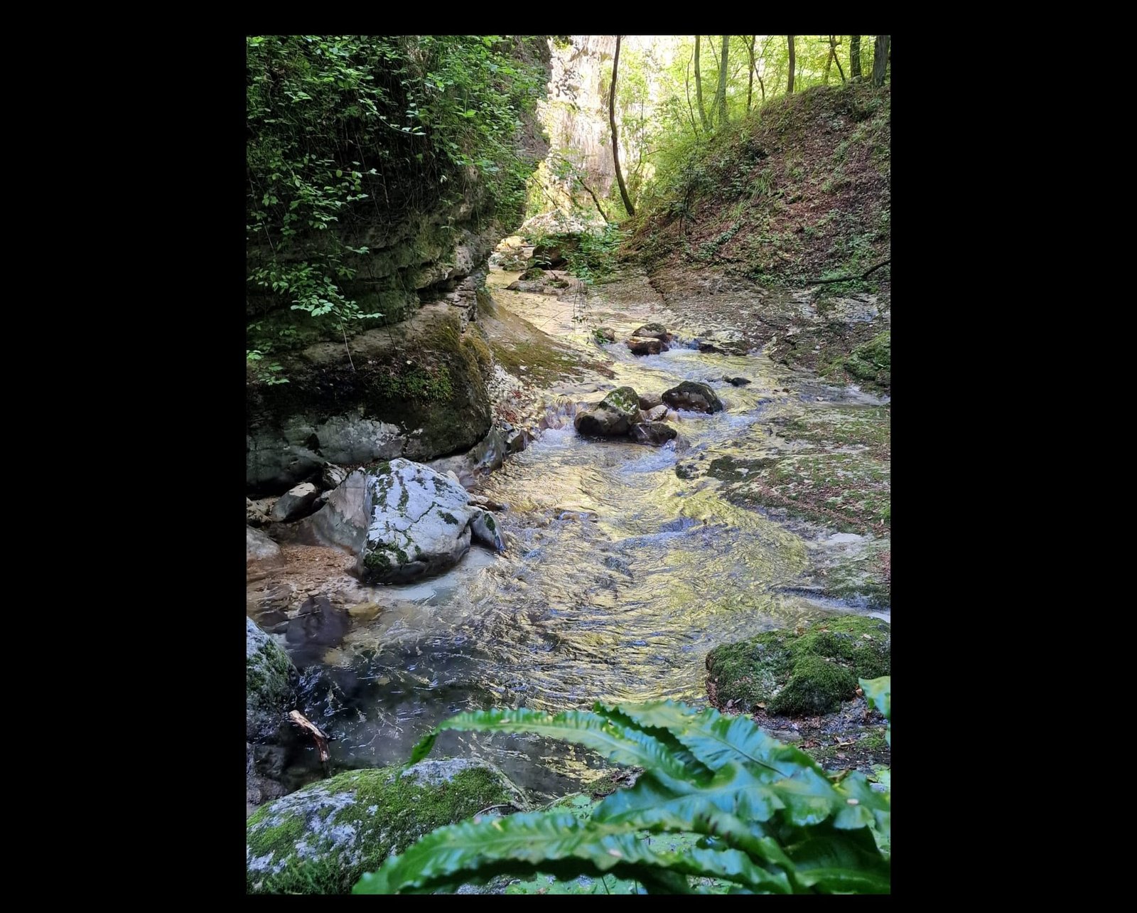 For the people, by the people!