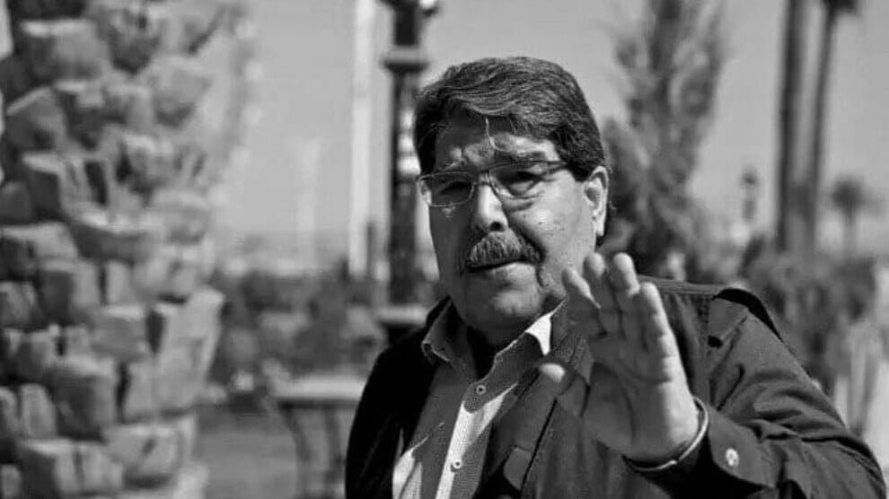 Ter nagedachtenis aan de plataan van Rojava, Bavê Welat...