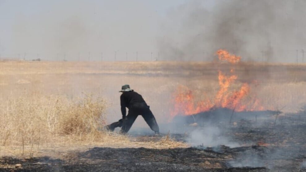 Grote brand op de hellingen van het Shengal-gebergte