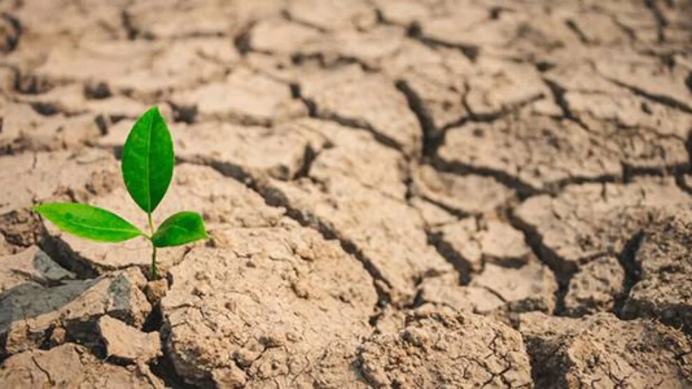 De watercrisis in Koerdistan: droge velden, diepe putten, verlaten dorpen