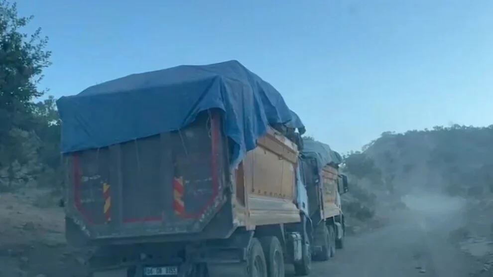 Tonnen gekapte bomen worden per vrachtwagen uit Besta afgevoerd