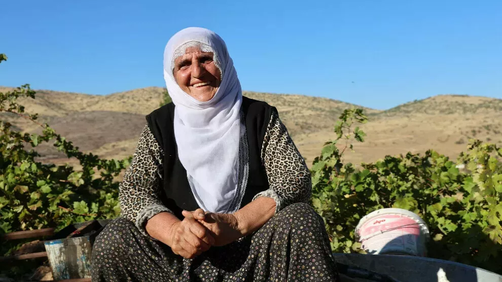 De traditie van de druivenoogst blijft voortbestaan ondanks de droogte in Amed
